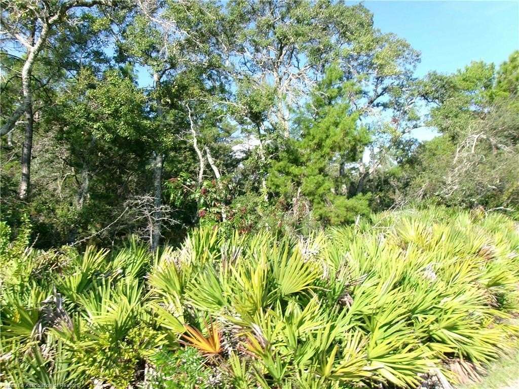 0.24 Acres of Residential Land for Sale in Sebring, Florida