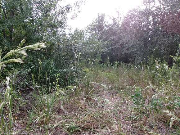 0.62 Acres of Residential Land for Sale in Sebring, Florida