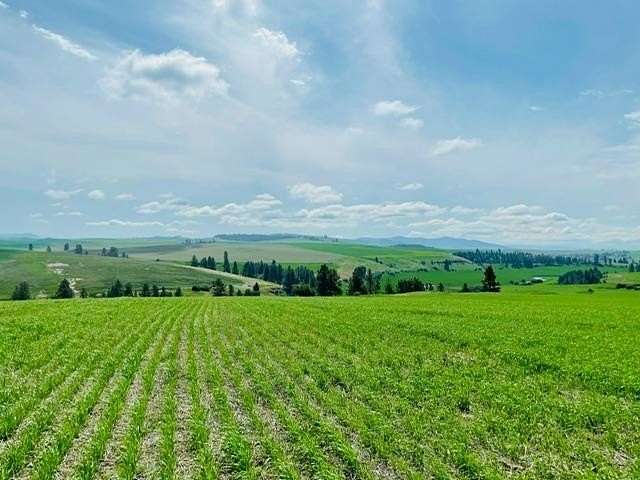 40 Acres of Agricultural Land for Sale in Spangle, Washington