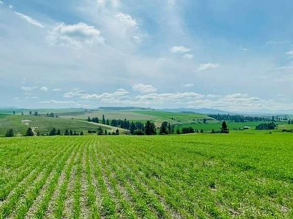 40 Acres of Agricultural Land for Sale in Spangle, Washington