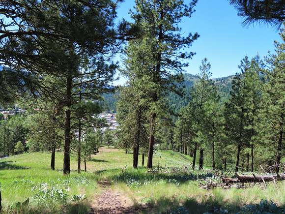 8.61 Acres of Land for Sale in Republic, Washington