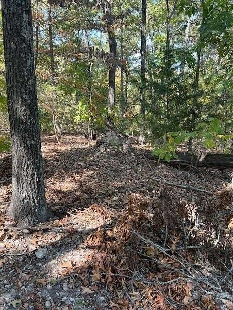 0.28 Acres of Residential Land for Sale in Bella Vista, Arkansas