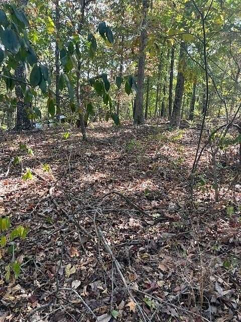 0.28 Acres of Residential Land for Sale in Bella Vista, Arkansas