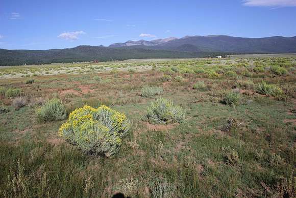 1 Acre of Residential Land for Sale in Eagle Nest, New Mexico