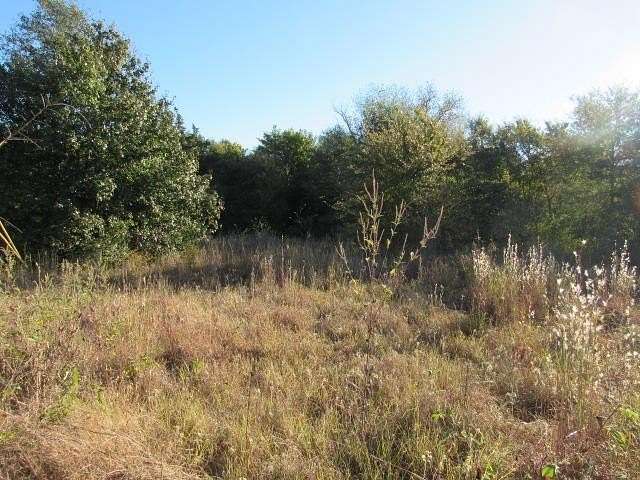 3.5 Acres of Residential Land for Sale in Tennessee Colony, Texas