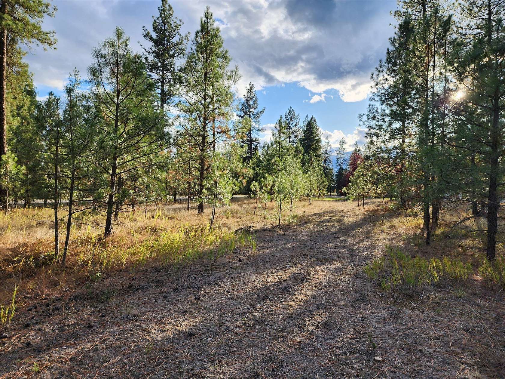 1.29 Acres of Residential Land for Sale in Libby, Montana