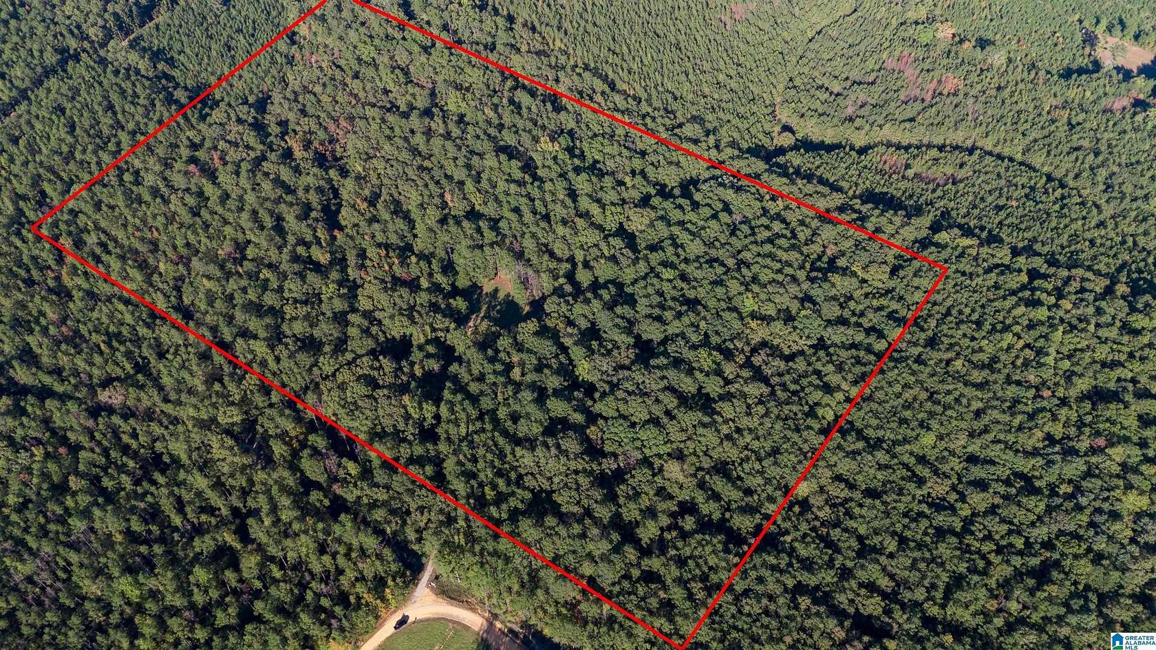 30 Acres of Land for Sale in Centreville, Alabama