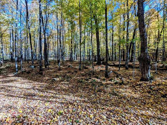 35 Acres of Recreational Land for Sale in Iron River, Michigan