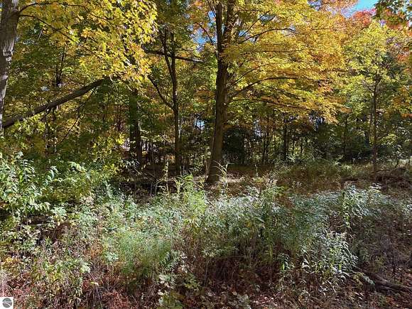 1.49 Acres of Residential Land for Sale in Benzonia, Michigan