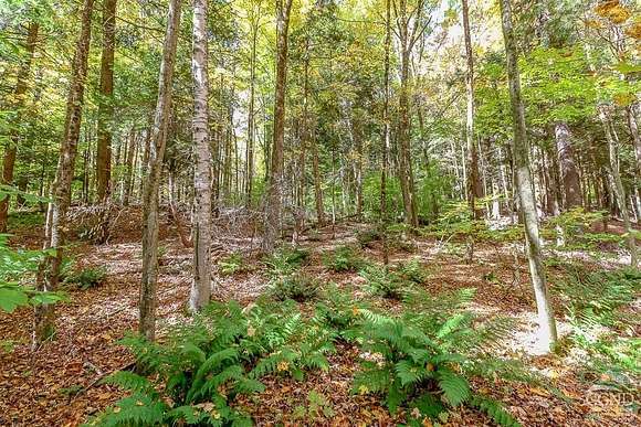 1.5 Acres of Land for Sale in Austerlitz, New York