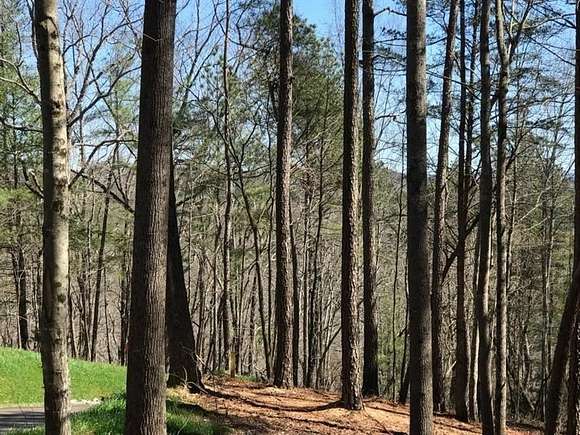 1.19 Acres of Residential Land for Sale in Ellijay, Georgia