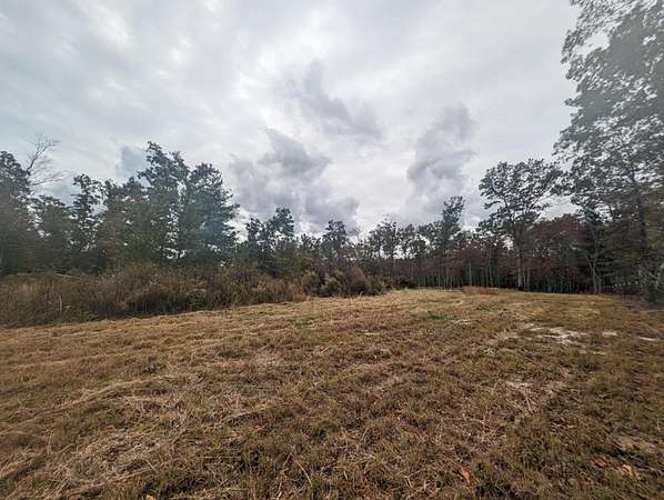 Land for Sale in Deer Lodge, Tennessee