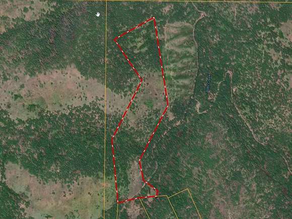 67 Acres of Recreational Land for Sale in Twisp, Washington