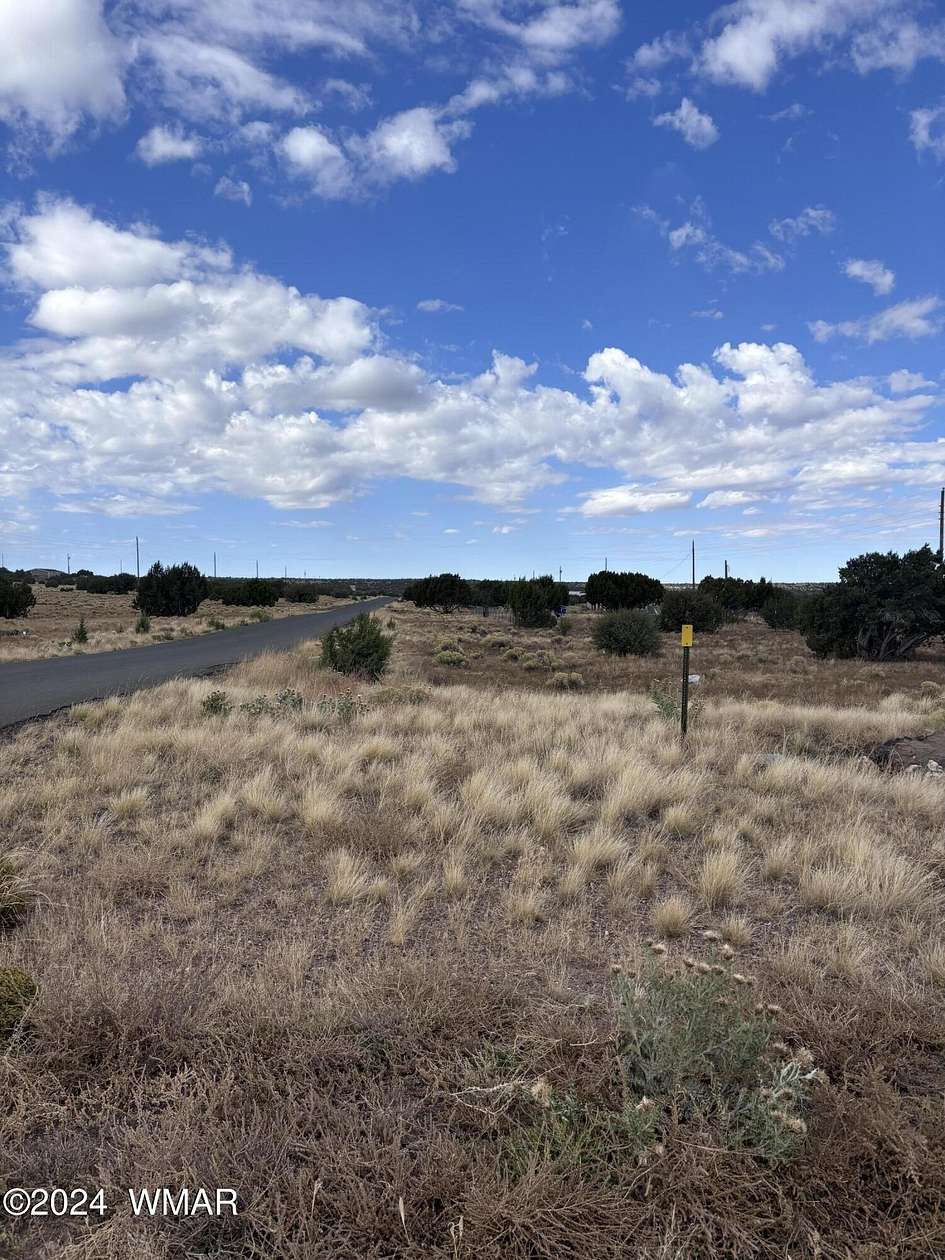 0.23 Acres of Residential Land for Sale in Concho, Arizona