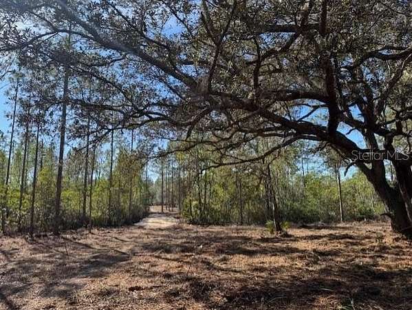 35.4 Acres of Recreational Land for Sale in Fort McCoy, Florida