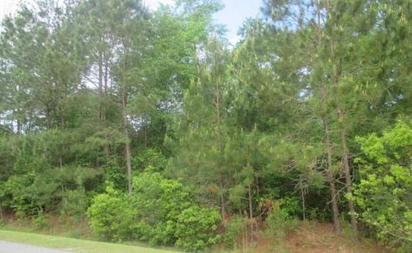 1.2 Acres of Residential Land for Sale in Valdosta, Georgia