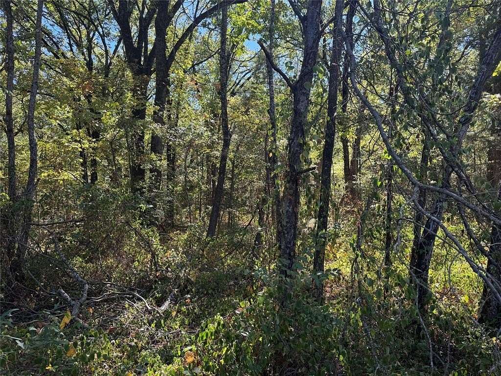 0.108 Acres of Residential Land for Sale in Payne Springs, Texas