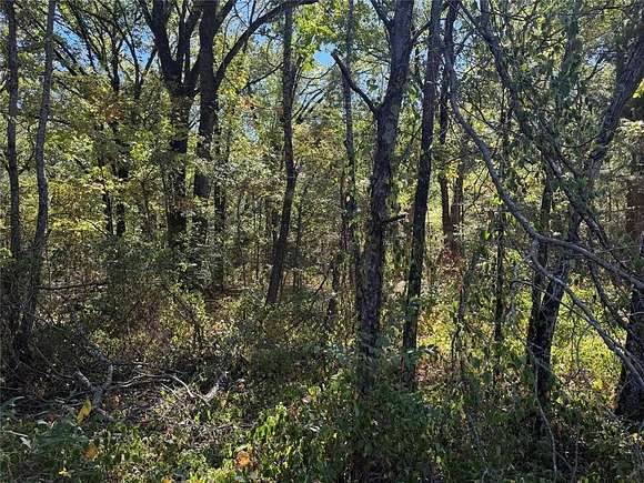 0.108 Acres of Residential Land for Sale in Payne Springs, Texas