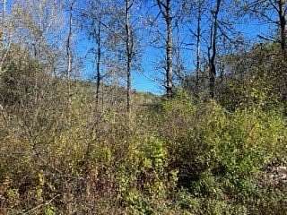 5.76 Acres of Land for Sale in Butternuts Town, New York