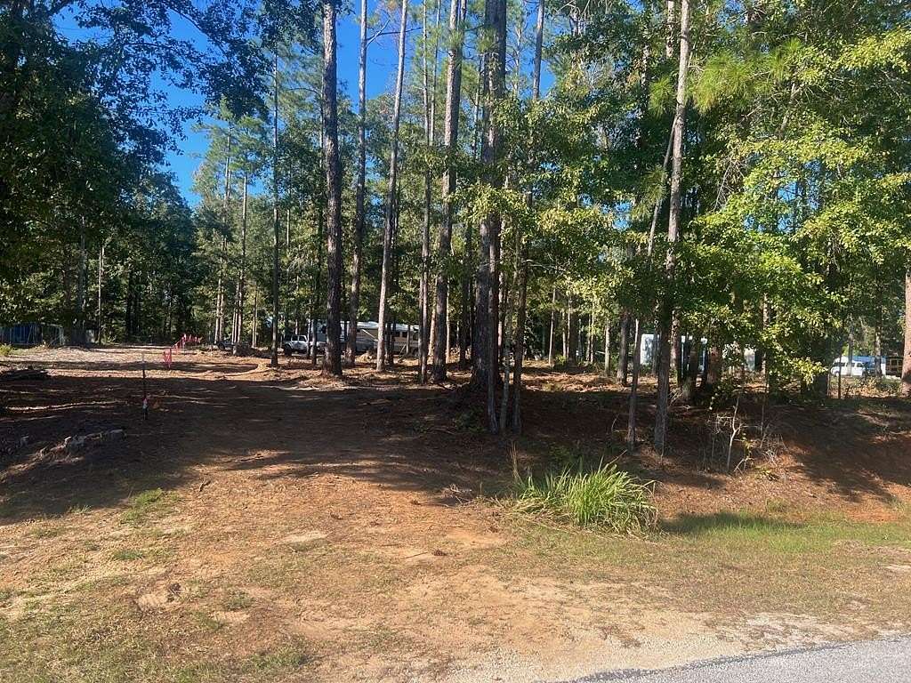 0.75 Acres of Residential Land for Sale in Abbeville, Alabama