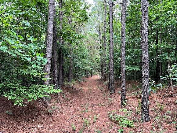 155 Acres of Recreational Land for Sale in Charleston, Mississippi