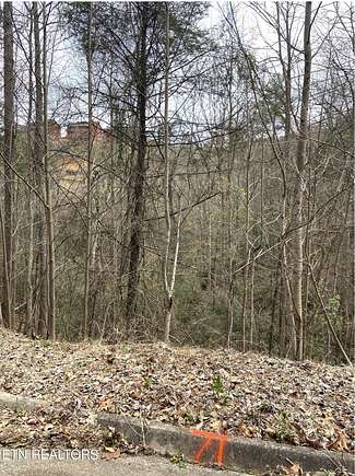 0.05 Acres of Residential Land for Sale in Sevierville, Tennessee