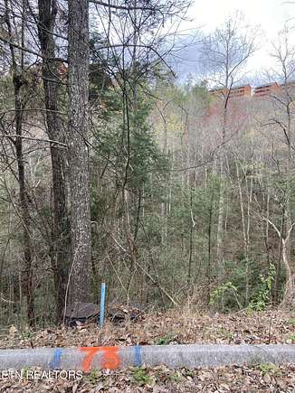 0.06 Acres of Residential Land for Sale in Sevierville, Tennessee