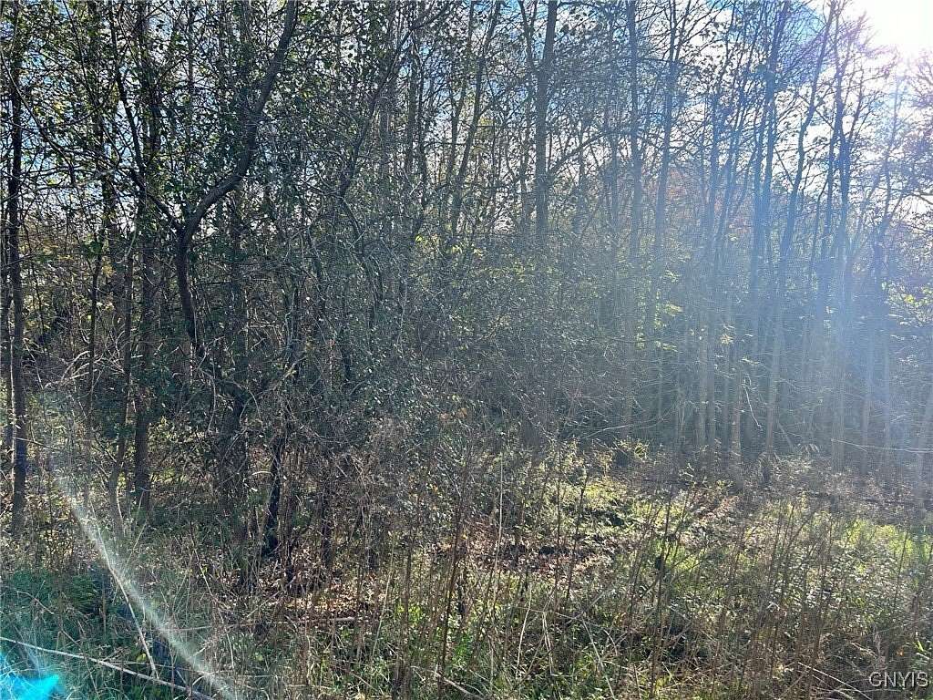 0.66 Acres of Land for Sale in Hammond, New York