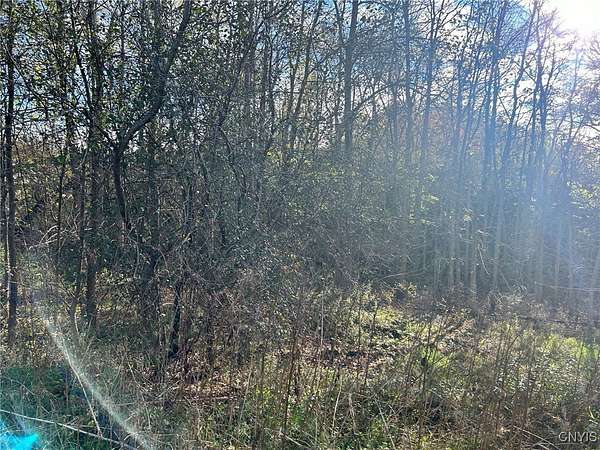 0.66 Acres of Land for Sale in Hammond, New York