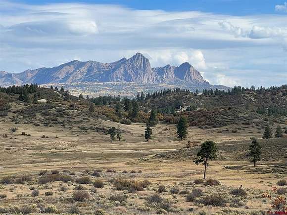 3 Acres of Residential Land for Sale in Chromo, Colorado