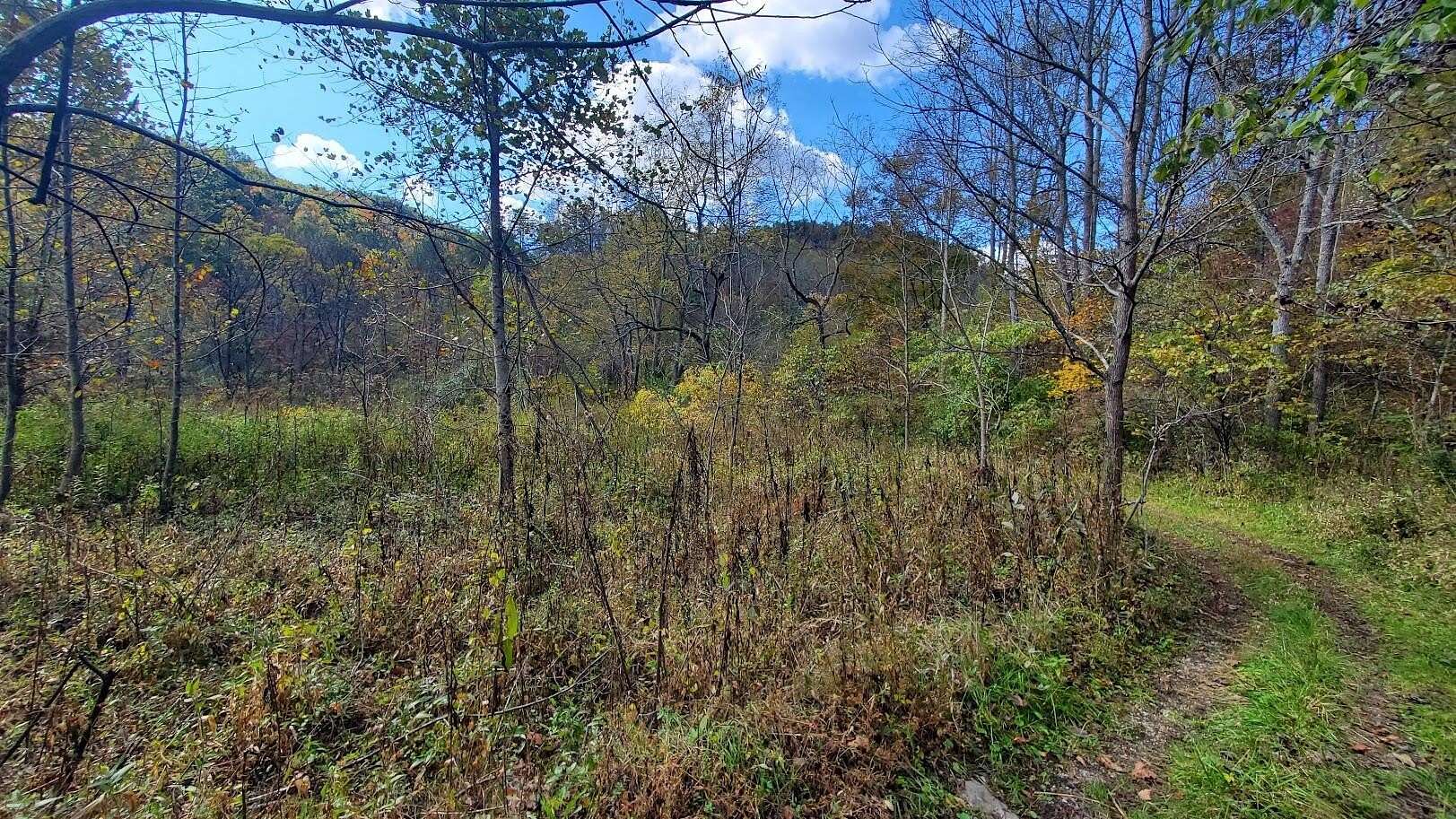 99.5 Acres of Land for Sale in McKee, Kentucky