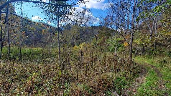 99.5 Acres of Land for Sale in McKee, Kentucky