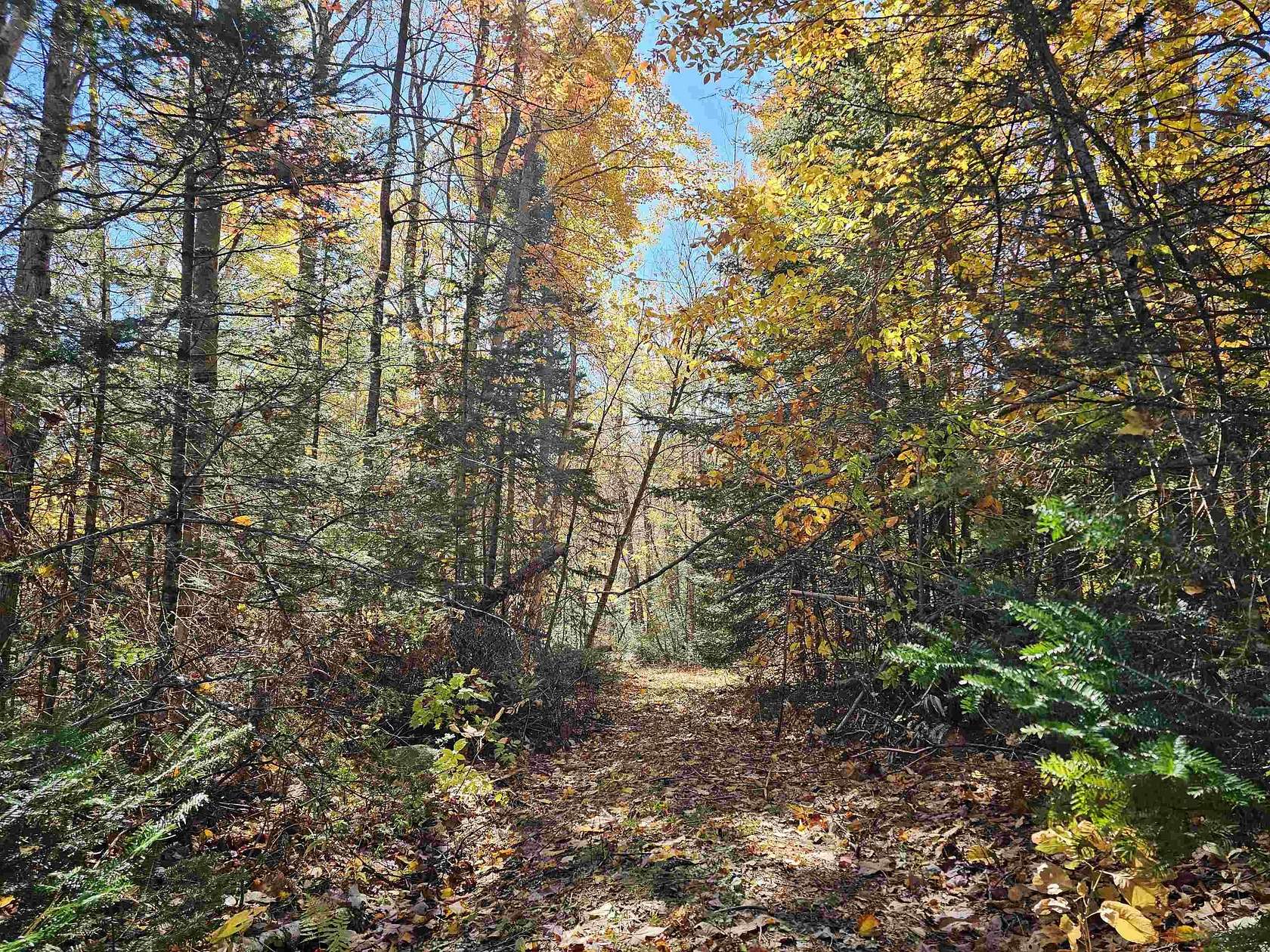 10.1 Acres of Recreational Land for Sale in Waterford Town, Vermont