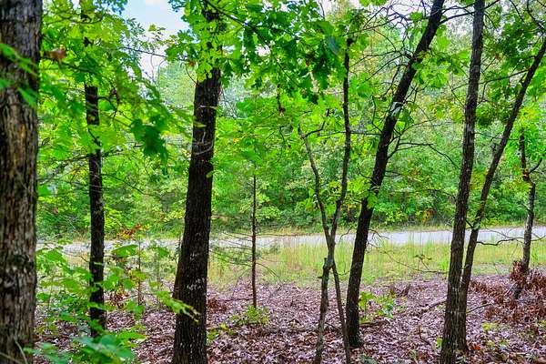 0.29 Acres of Residential Land for Sale in Horseshoe Bend, Arkansas