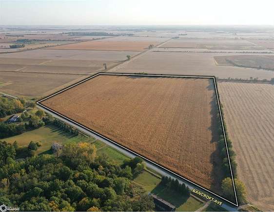 47.054 Acres of Agricultural Land for Sale in Nichols, Iowa