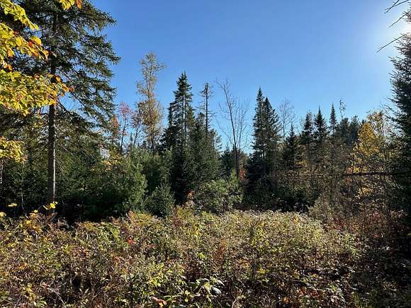 88 Acres of Land for Sale in Starks, Maine