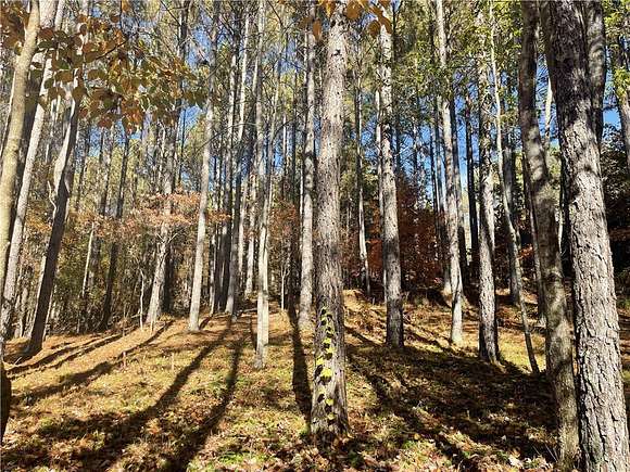 2.17 Acres of Residential Land for Sale in Sunset, South Carolina