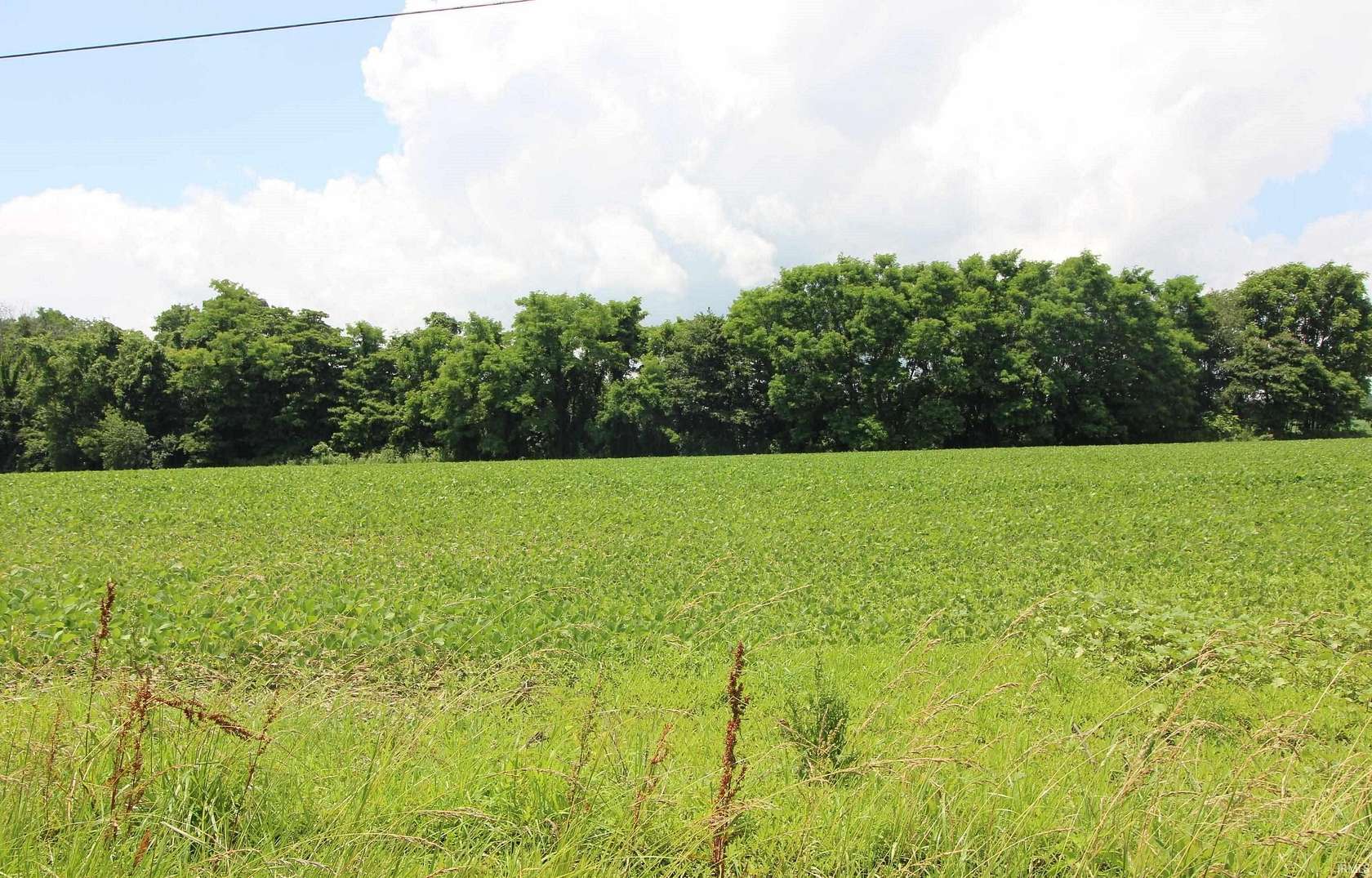 5.66 Acres of Agricultural Land for Sale in Stilesville, Indiana