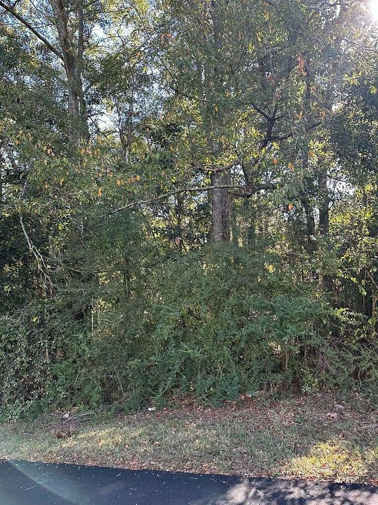 10 Acres of Land for Sale in Laurel, Mississippi