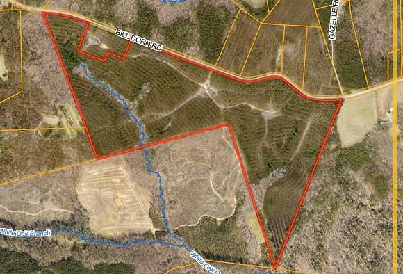 113.34 Acres of Recreational Land for Sale in Appling, Georgia