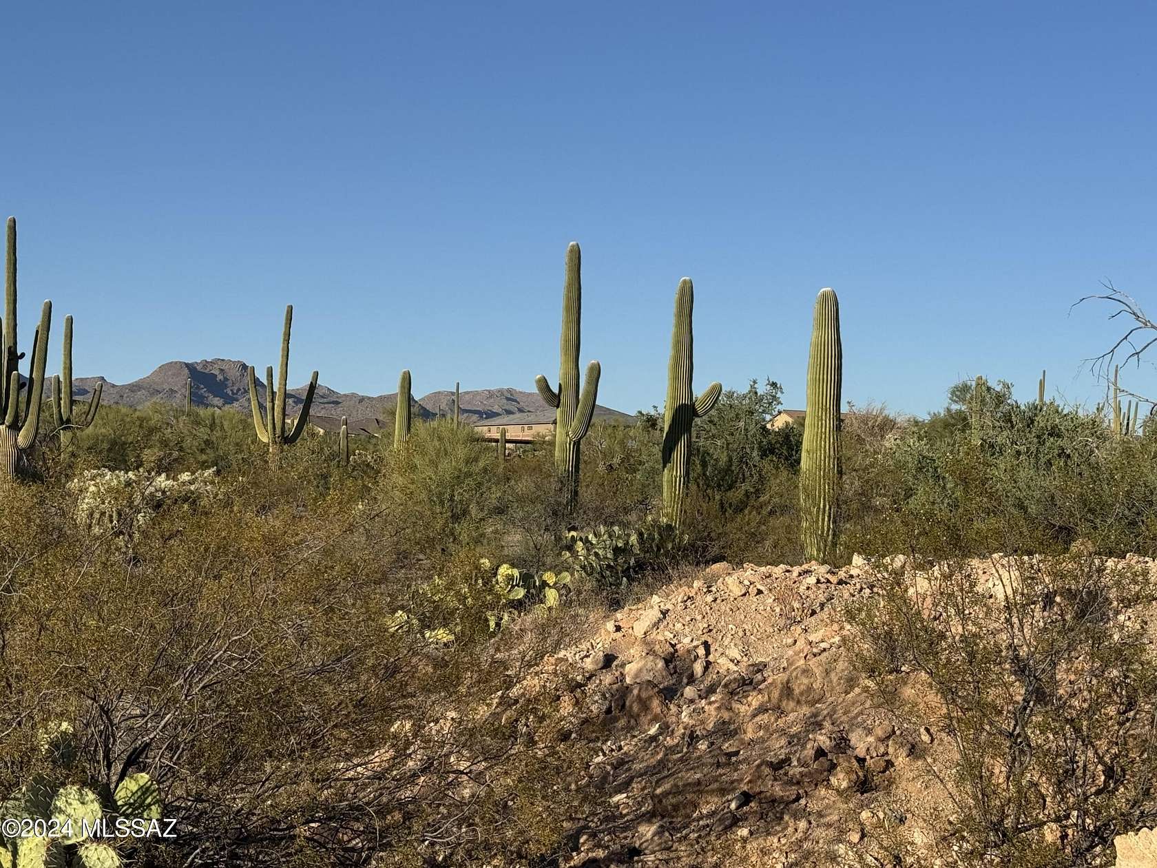 3.33 Acres of Residential Land for Sale in Tucson, Arizona