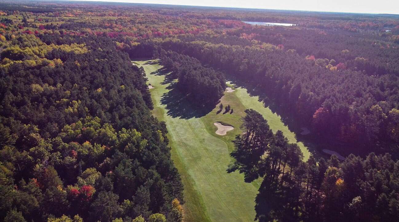 98.14 Acres of Land for Sale in Gaylord, Michigan