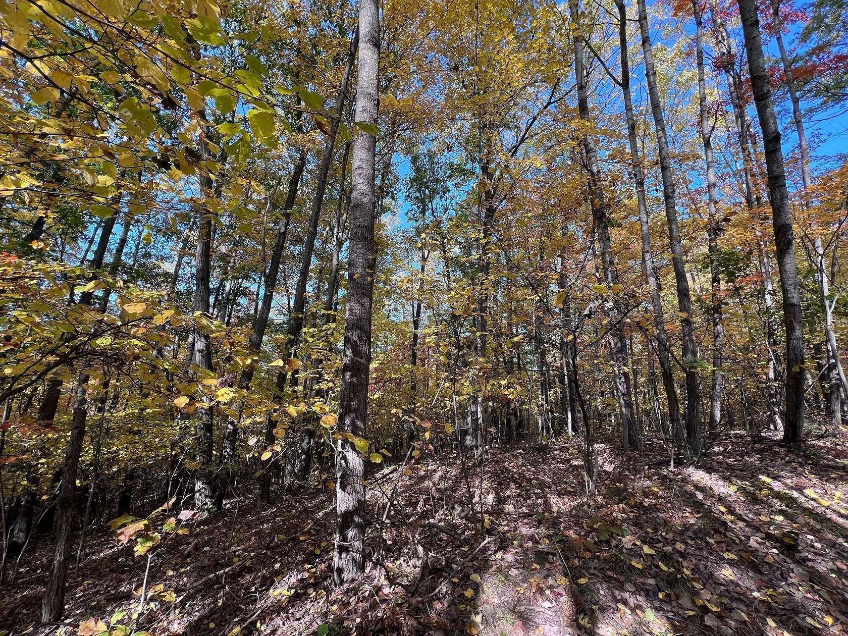 Land for Sale in Roscommon, Michigan