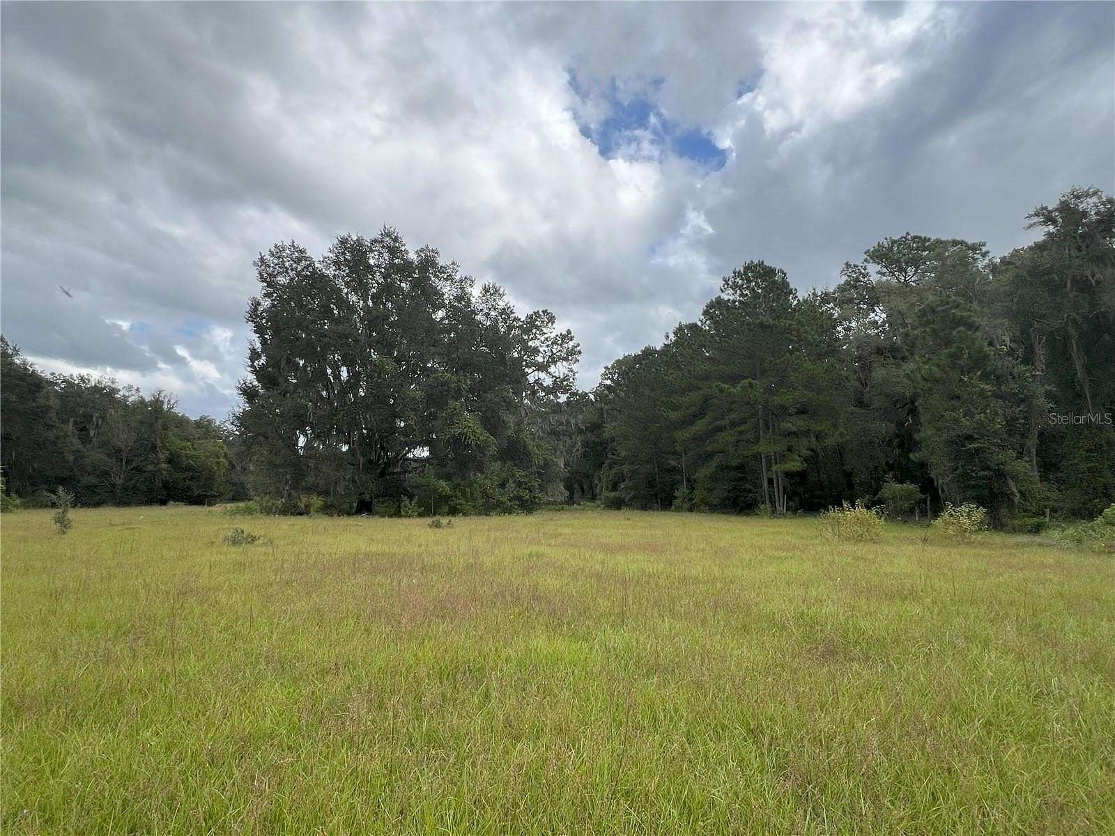 5.02 Acres of Residential Land for Sale in Citra, Florida