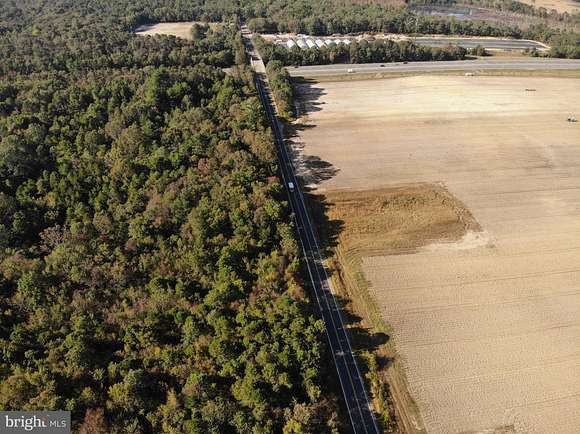 29.43 Acres of Agricultural Land for Sale in Hammonton, New Jersey