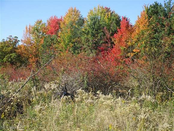 65.5 Acres of Recreational Land for Sale in Madison, Ohio