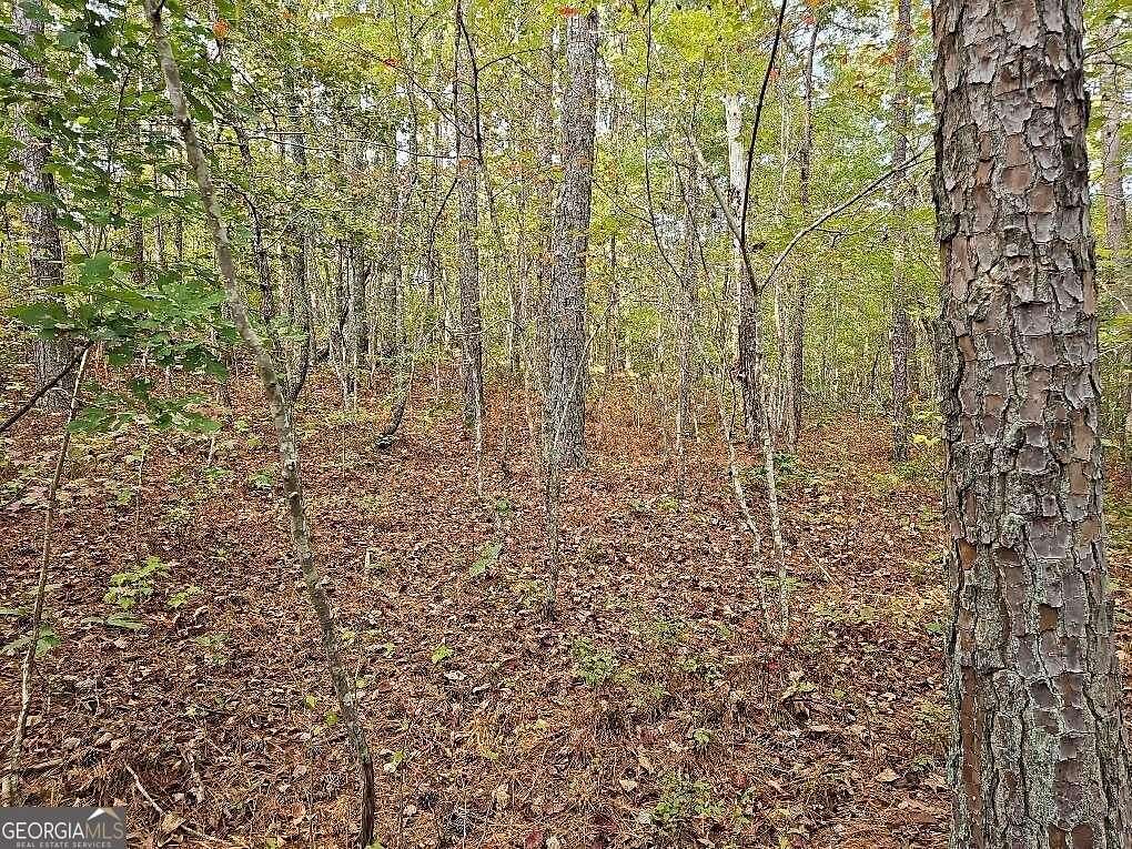 5 Acres of Land for Sale in Tallapoosa, Georgia