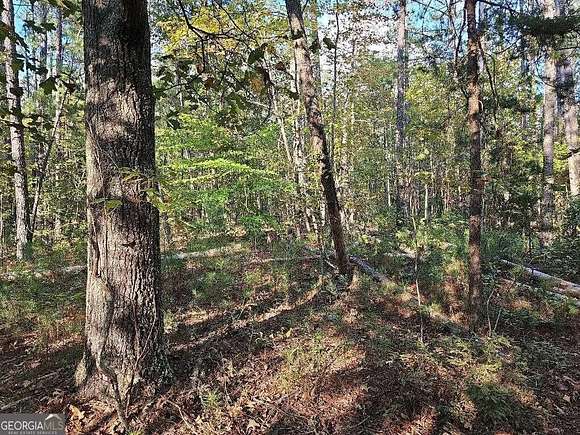 5 Acres of Land for Sale in Tallapoosa, Georgia