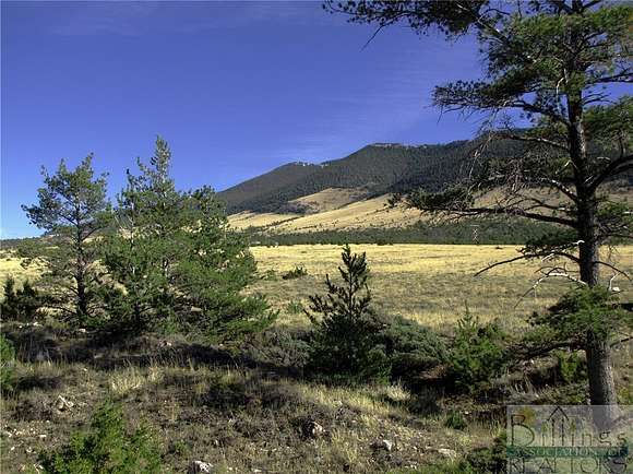 258.54 Acres of Recreational Land for Sale in Bridger, Montana