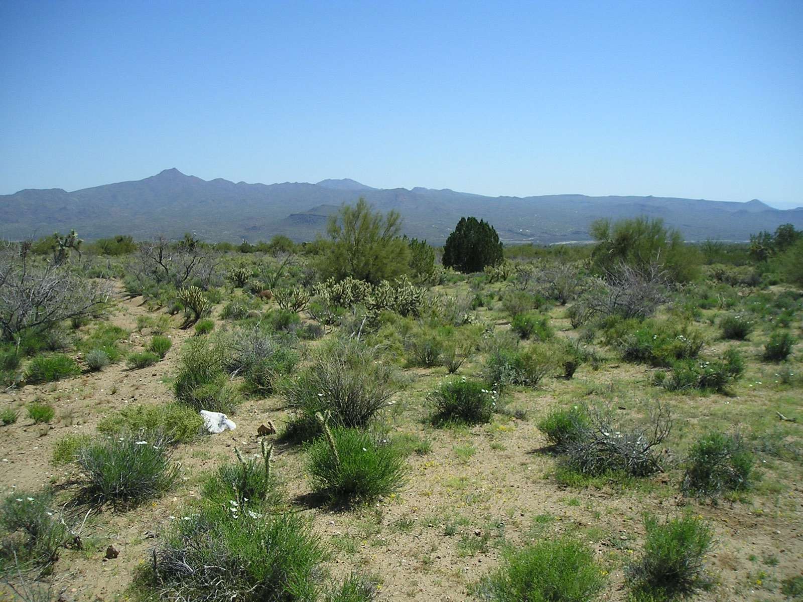 640 Acres of Land for Sale in Wikieup, Arizona